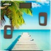 Напольные весы Aresa AR-4409 (SB-316)
