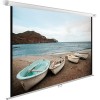 Проекционный экран CACTUS WallExpert 220x138 CS-PSWE-220x138-WT