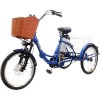 Электровелосипед GreenCamel Trike-20 R20 (500W 48V 15Ah, синий)